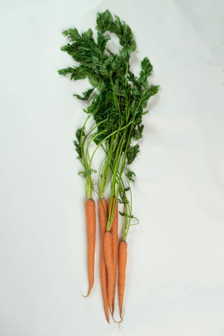 The Incredible Benefits of Carrots and Their Impact on Human Health