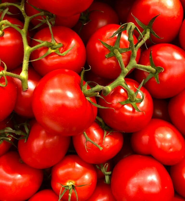 The Versatile Tomato: Benefits and Everyday Uses in Salads