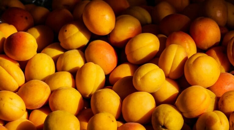 The Wonderful Apricot: Health Benefits, Nutritional Content, and Global Cultivation
