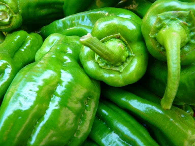 The Power of Pepper: Enhancing Blood Circulation and Health Benefits