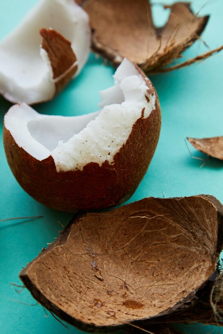 Exploring the Health Benefits, Daily Uses, and Producing Countries of Coconut