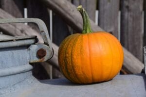 The Versatile Pumpkin: A Superfood for All Seasons